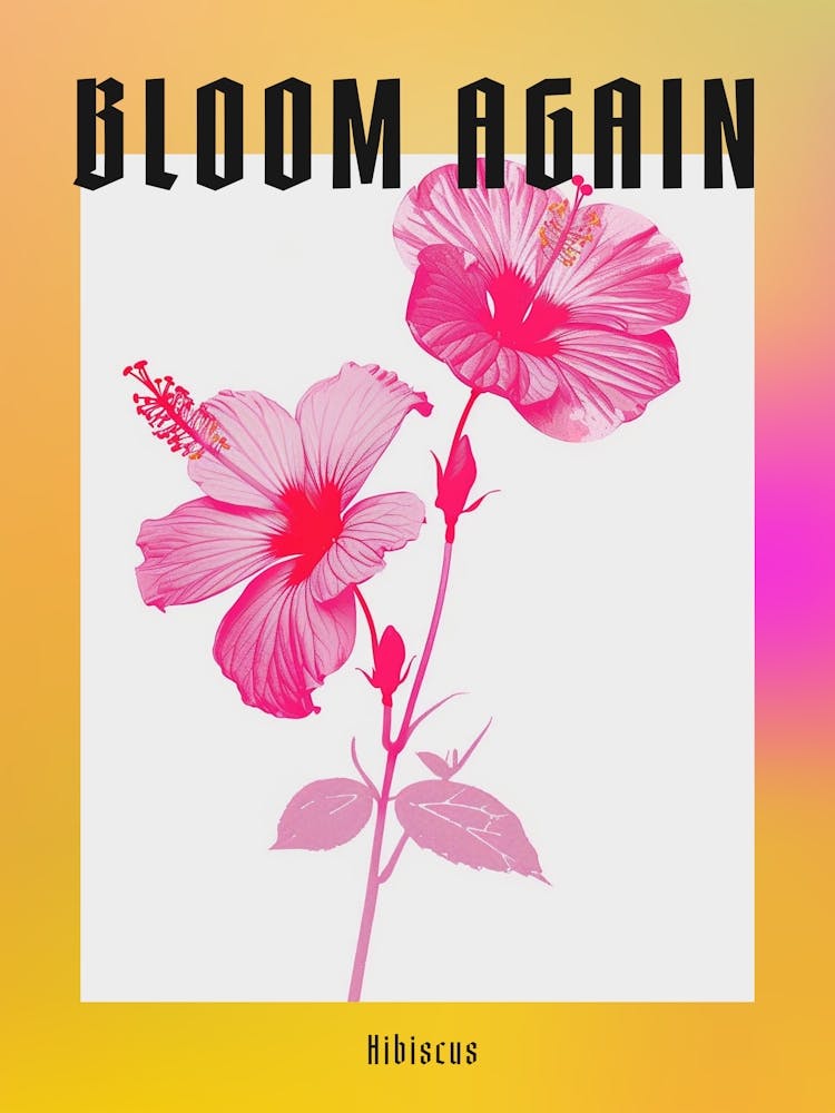Hot Pink Hibiscus 2 Poster