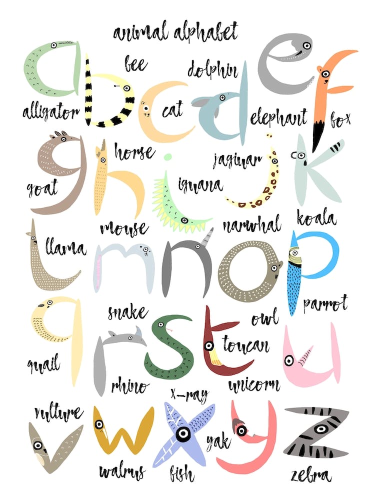 Animal Abc