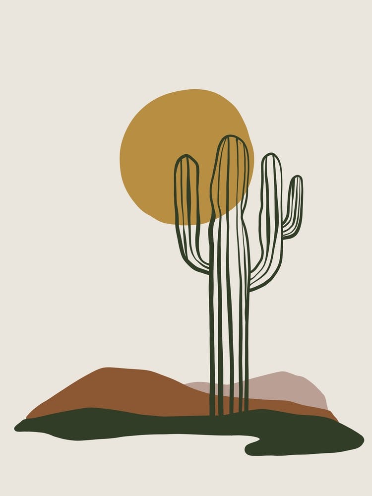 Cactus In The Desert 13