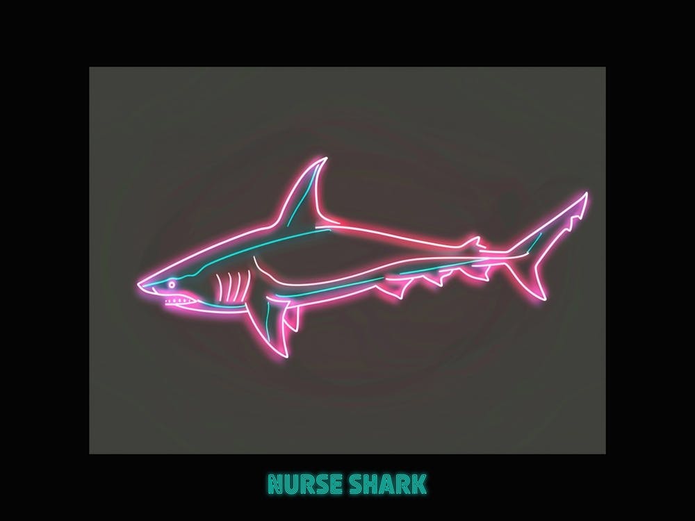 Neon Pink Nurse Shark 3 Poster