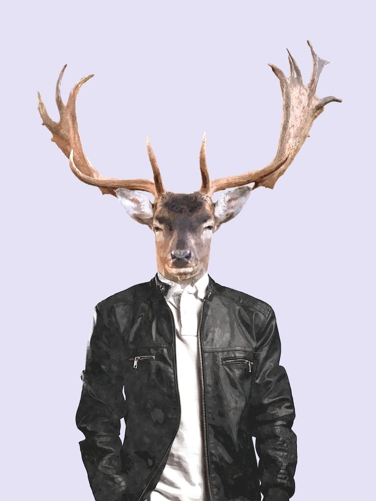 Fashionable Deer