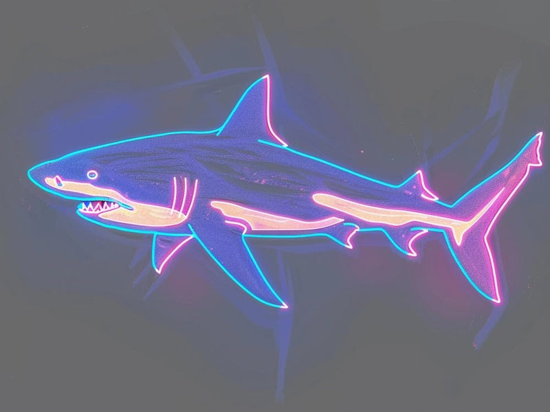 Neon Pastel Pink Blue Shark 4