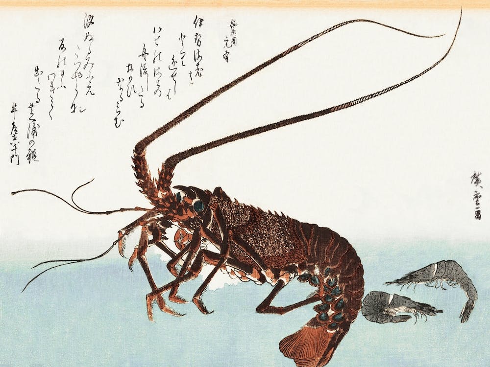 Lobster And Prawn, Utagawa Hiroshige