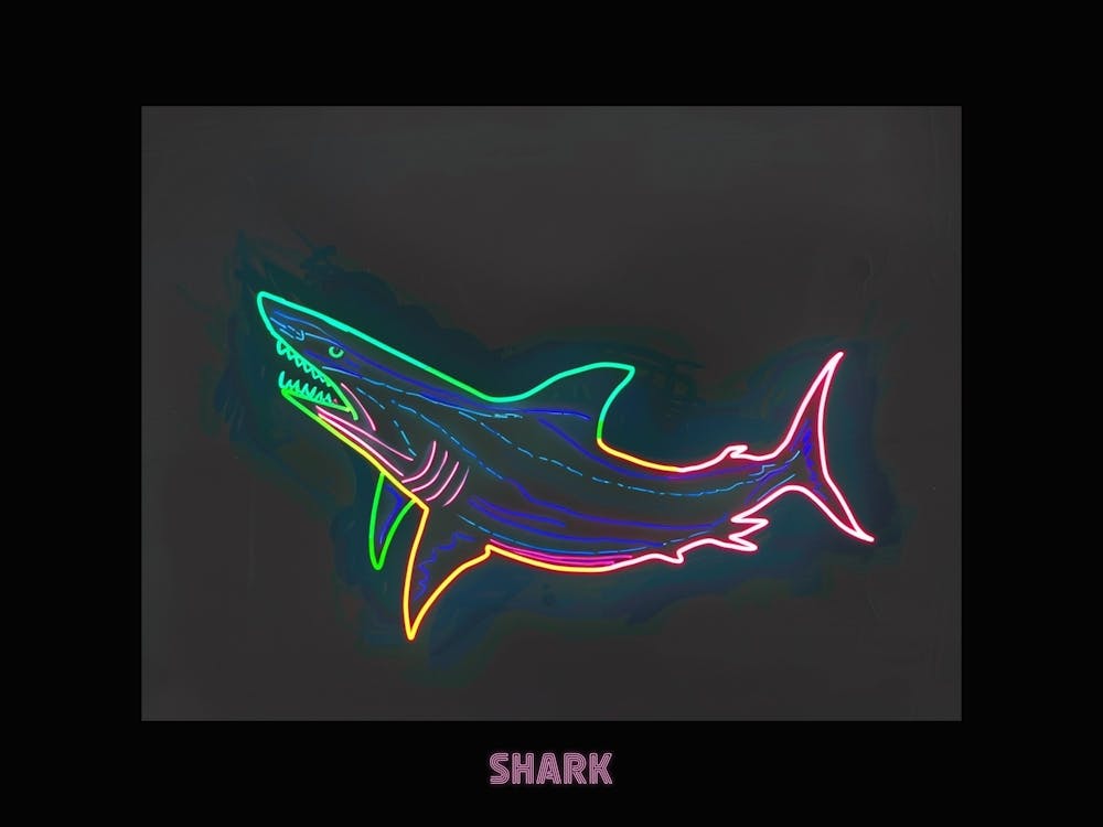 Neon Pink Sign Inspired Shark Poster 4
