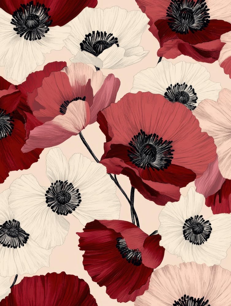 Coquelicots rouges 16