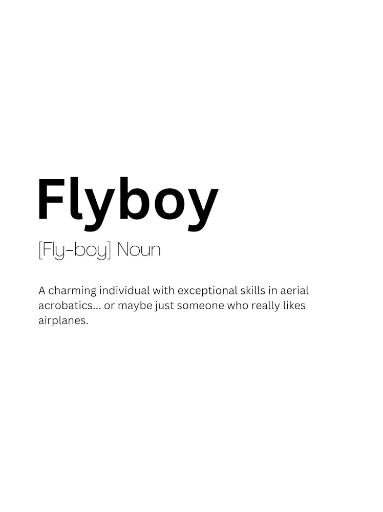 Flyboy Definition Meaning 1