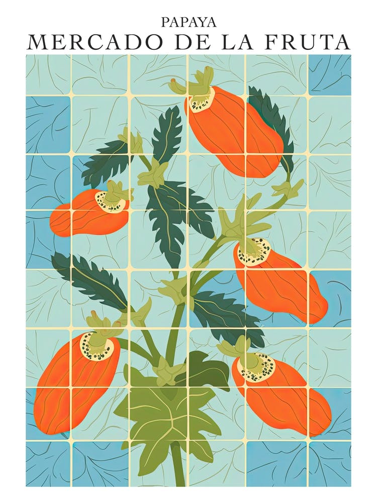 Mercado De La Fruta Papaya Illustration 3 Poster