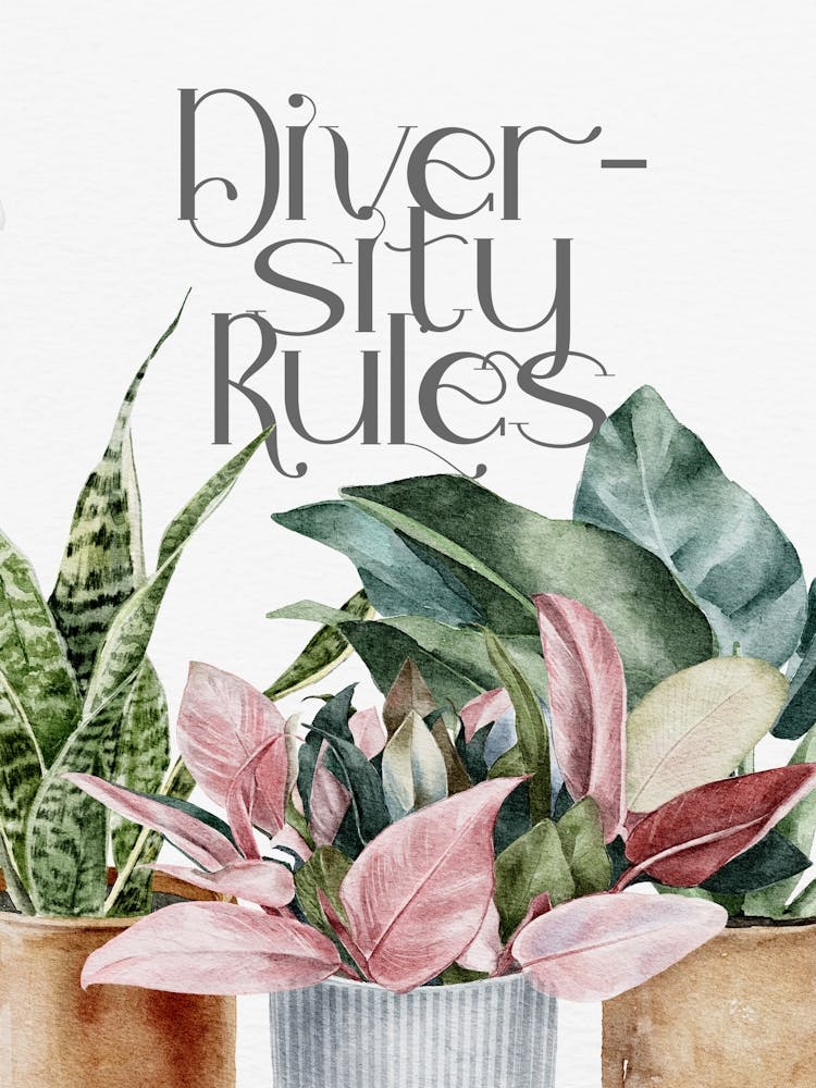 Diverse -Ity Rules