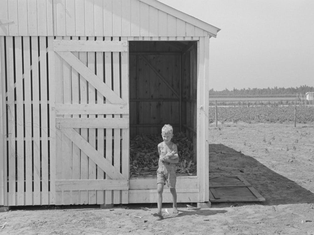 Southeast Missouri Farms, Child Of Fsa (Farm Security Administration) Client Getting Corn From Crib By Russell Lee