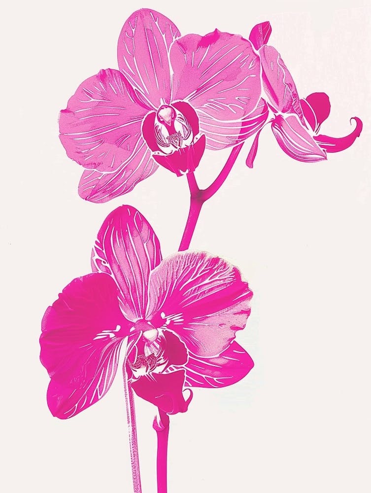 Hot Pink Orchid 2