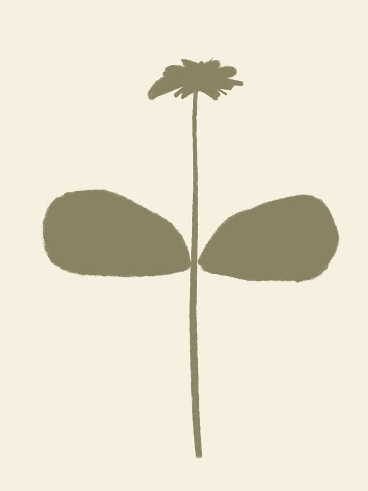 Flower 3
