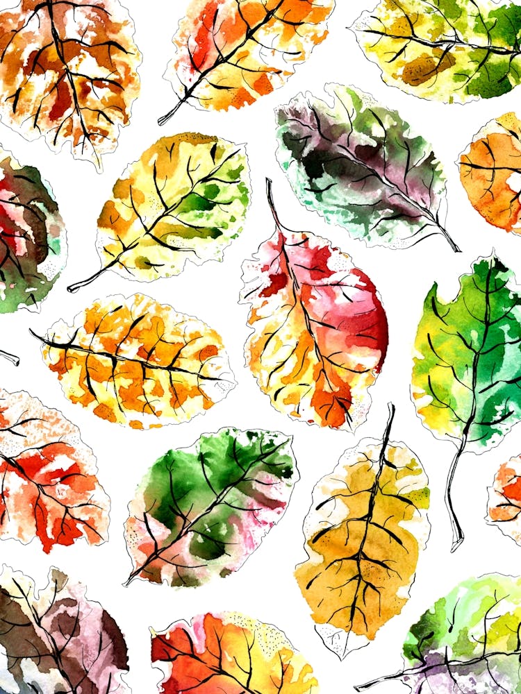 Autumn Leaves Ink And Watercolor Painting