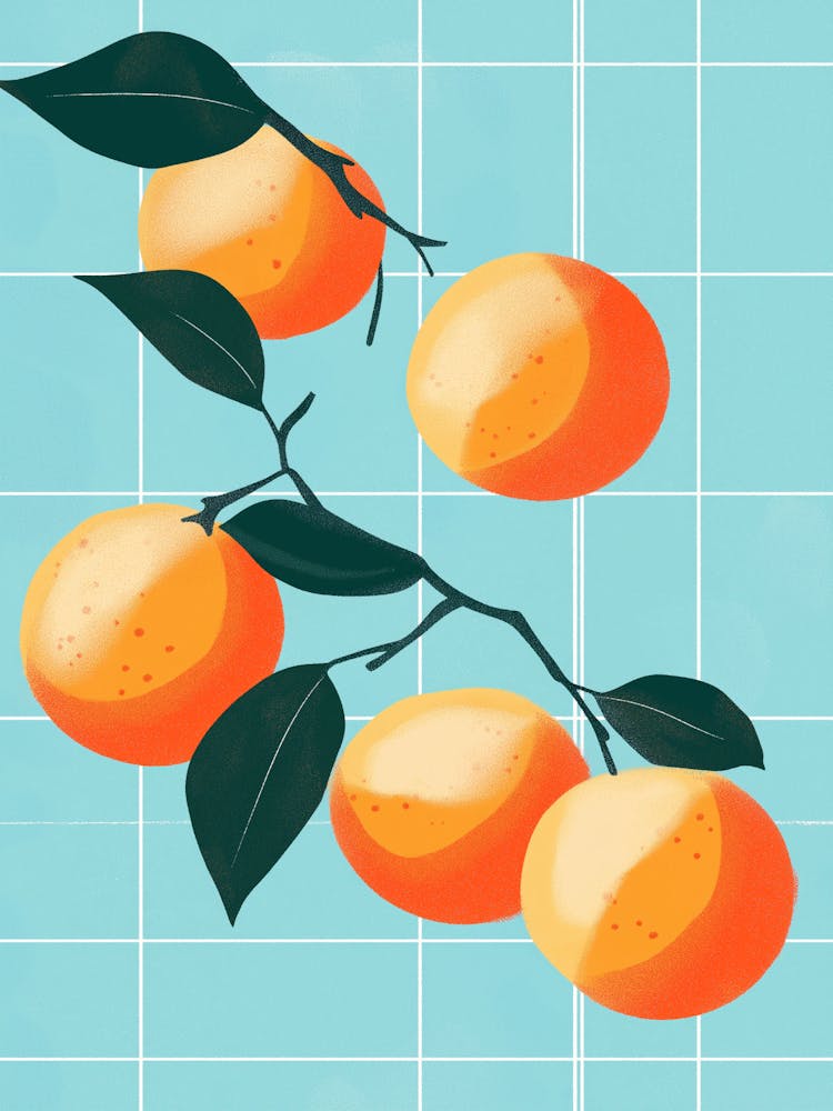 Oranges On A Branch