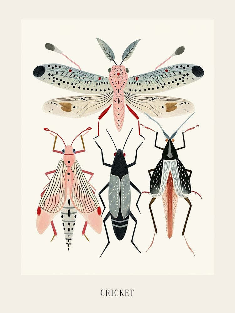 Colourful Insect Illustration Cricket 1 Poster