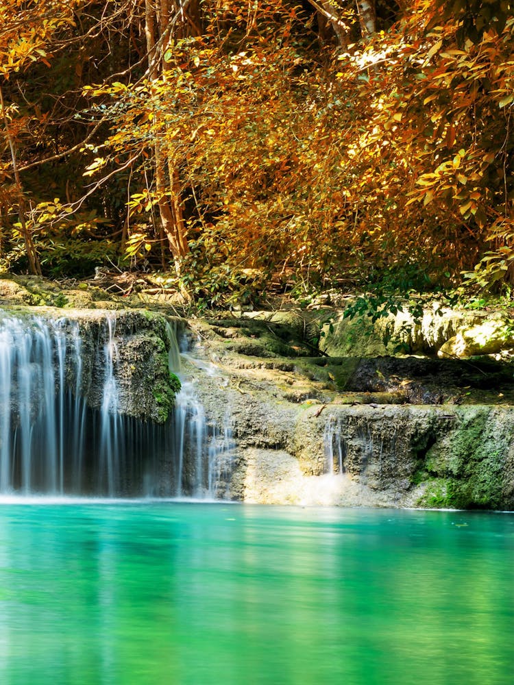 Waterfall In The Forest 3
