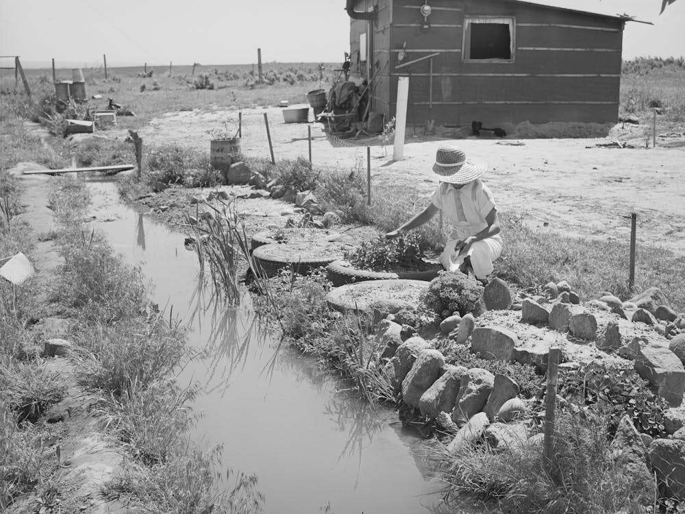 Garden By Irrigation Ditch And Home Of The Browning Family, Fsa (Farm Security Administration) Rehabilitation Borrowers
