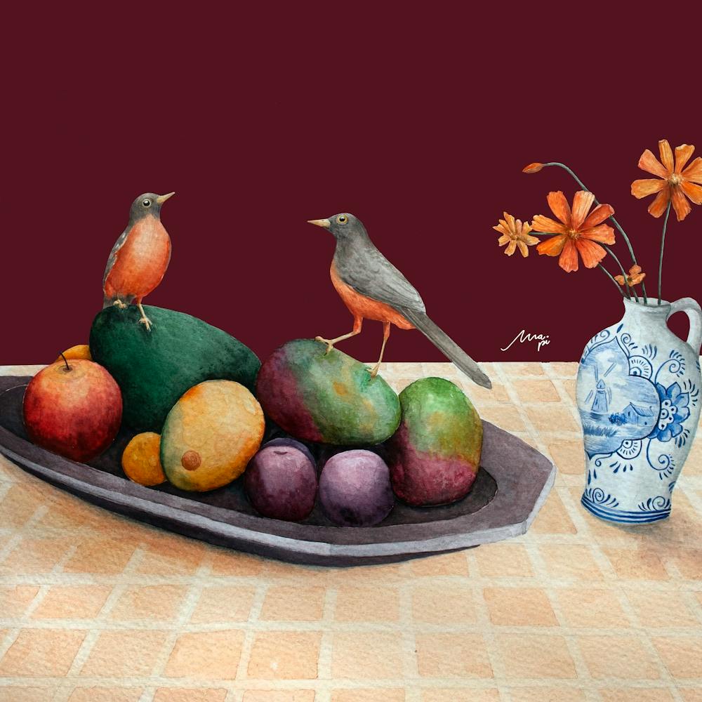 Rufous-bellied thrush - Marsala