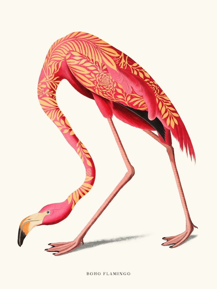 Boho Flamingo