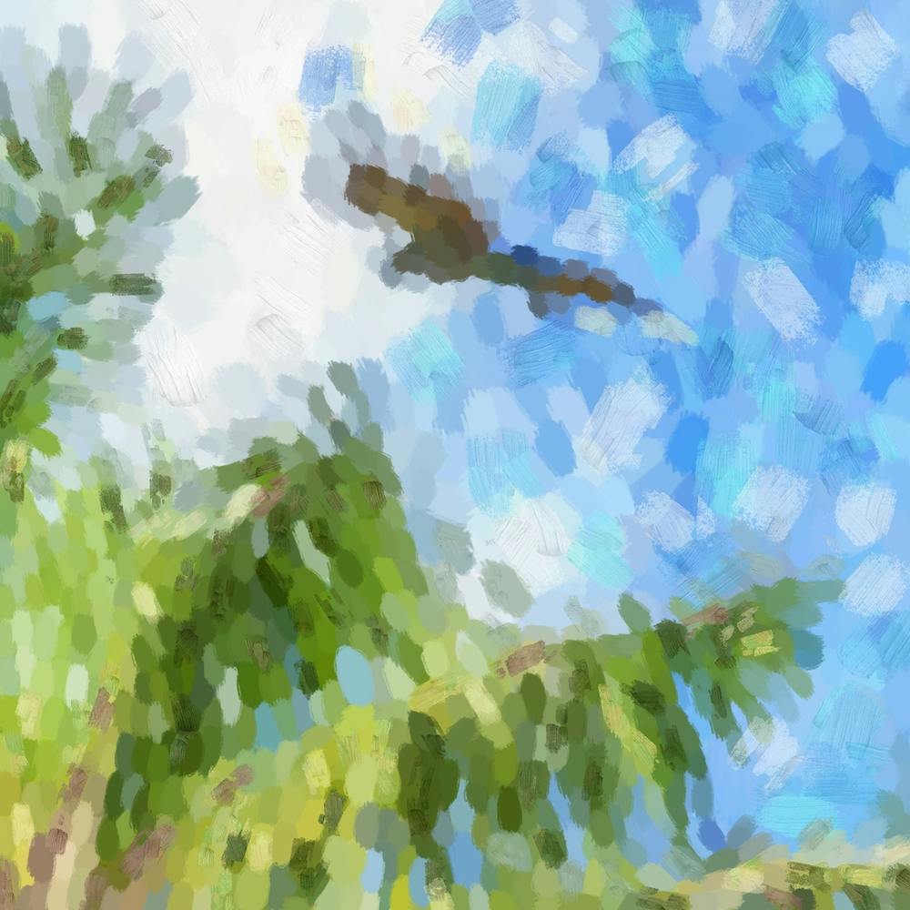 Tropical forest