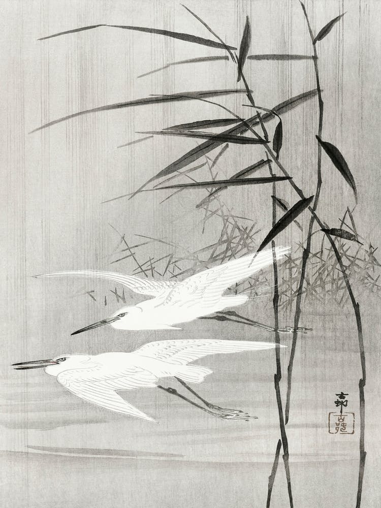 Two Egrets In Flight (1900 1936), Ohara Koson