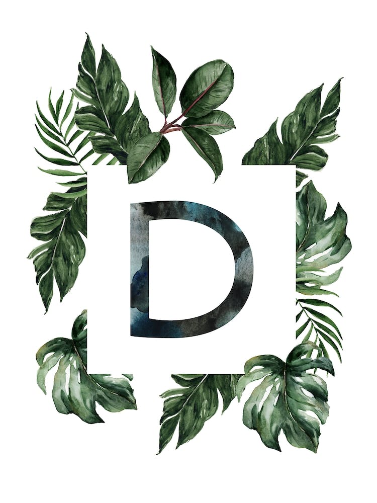 Botanical Alphabet D