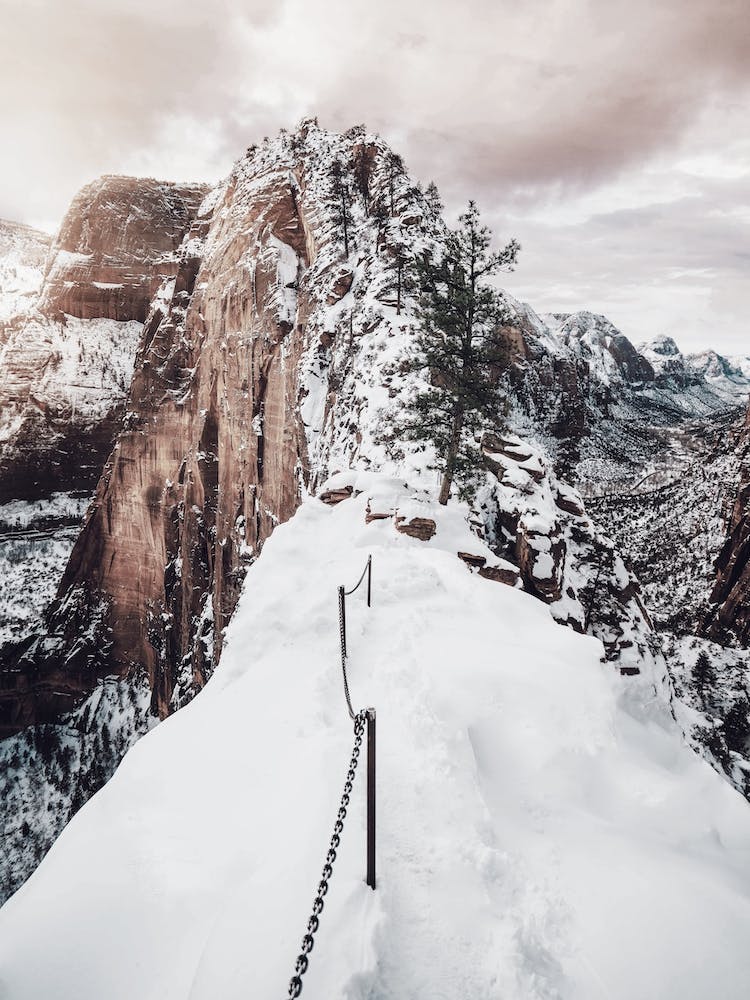 Zion In Winter