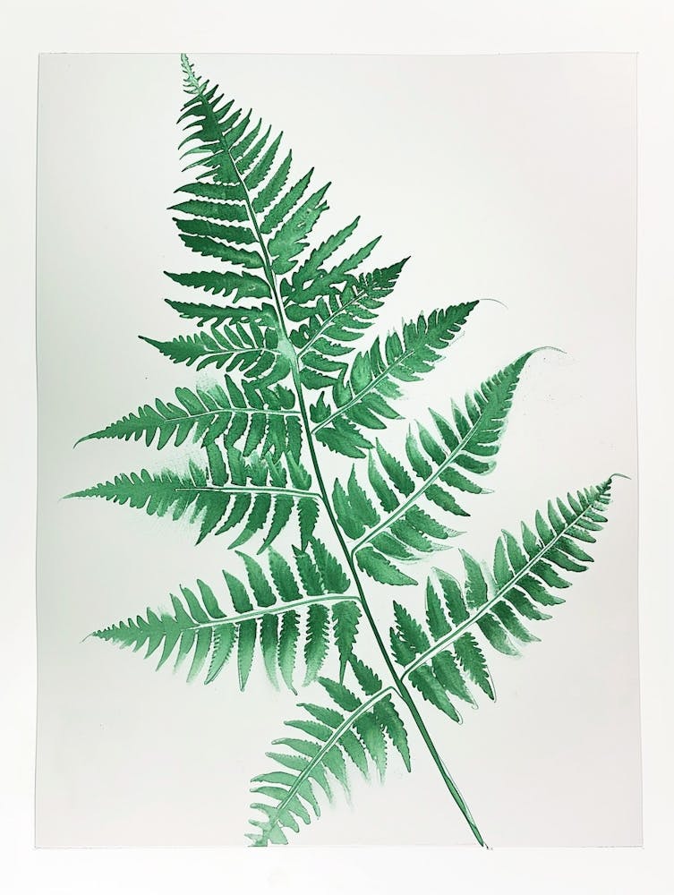 Green Ink Painting Of A Hares Foot Fern 1