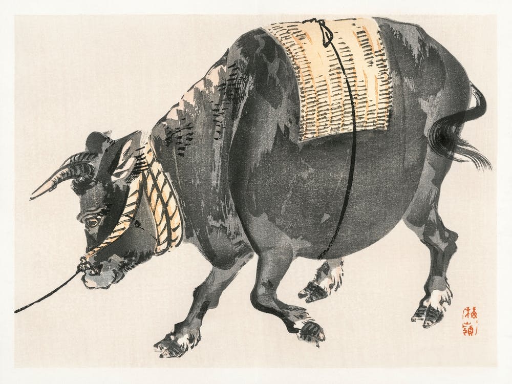 Black Bull, Kōno Bairei