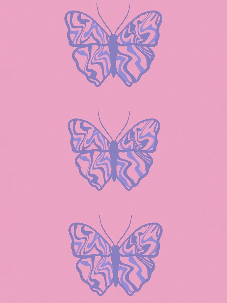 Schmetterling x 3