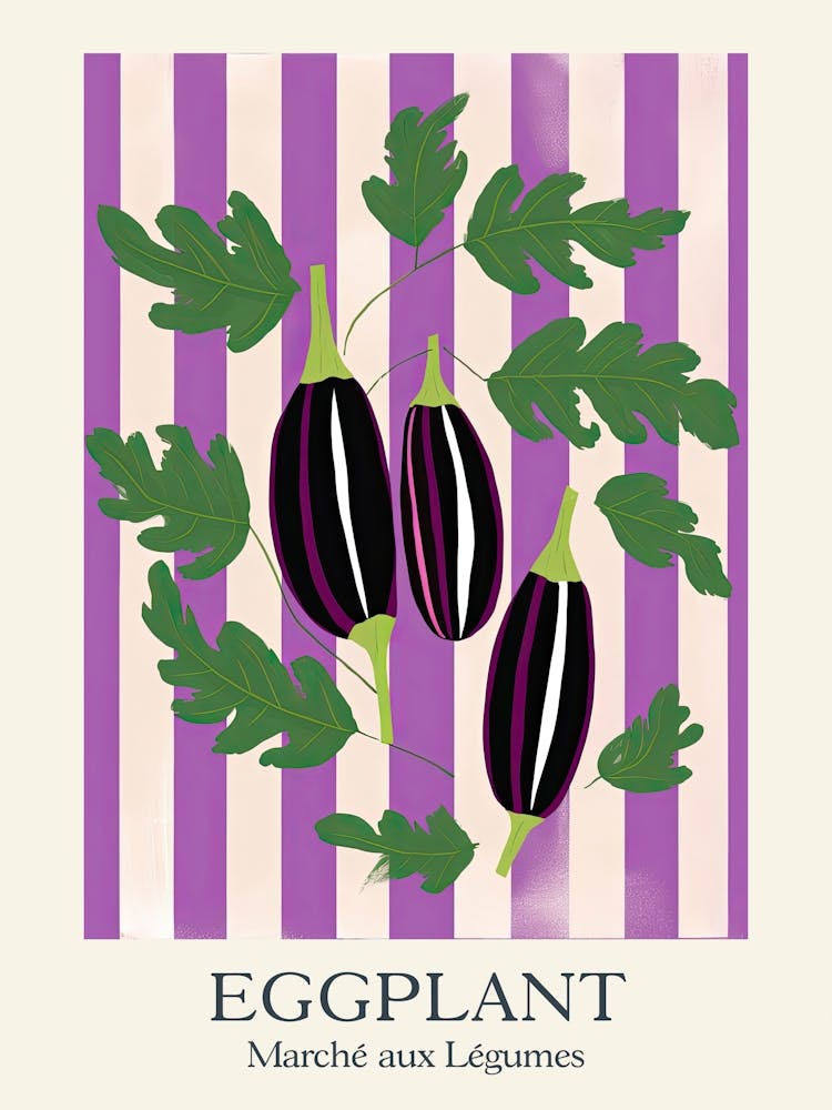 Marche Aux Legumes Eggplant Summer Illustration 3