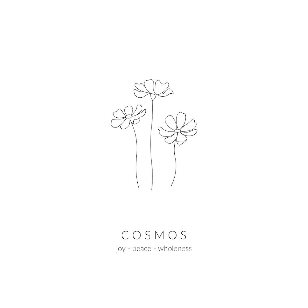 Cosmos Birth Flower Square