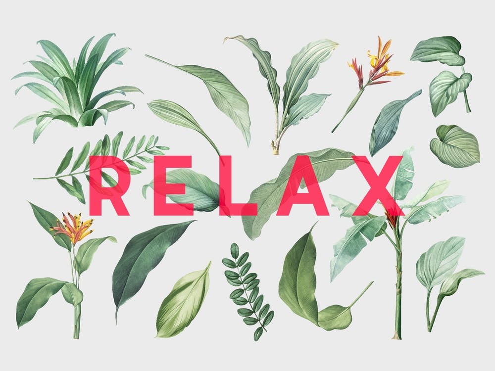 Relax