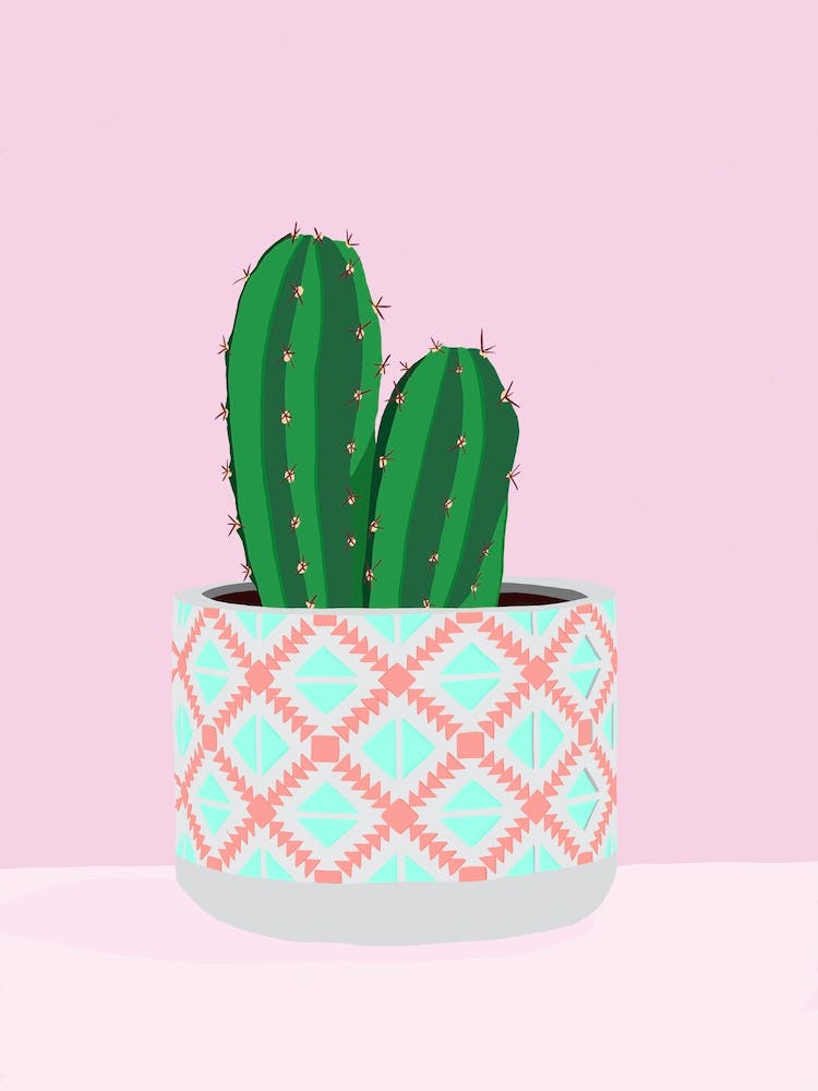 Boho Cactus - Cactus In A Pot
