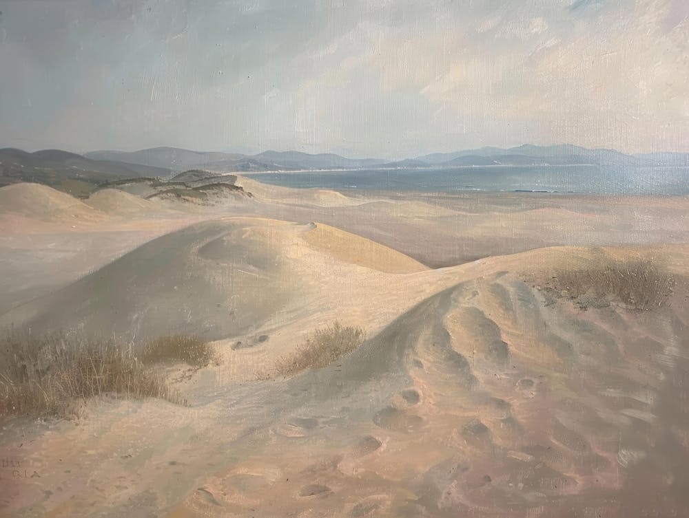 Sand Dunes 17