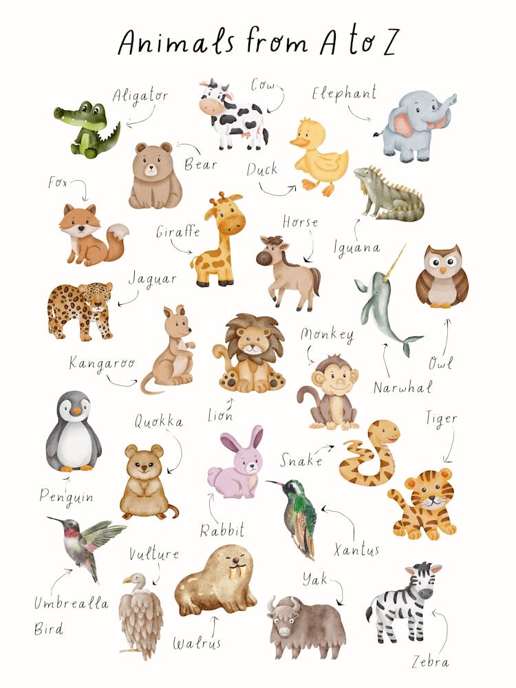 Animal Alphabet Print