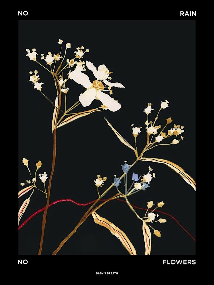 No Rain No Flowers Poster Babys Breath 6