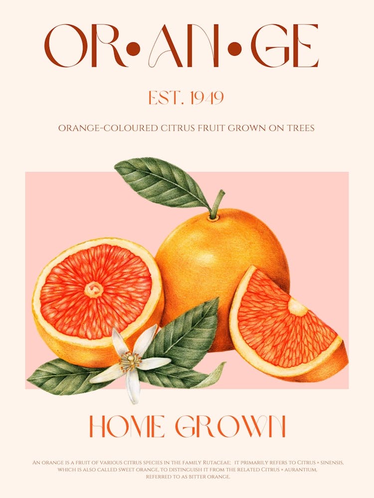 34ratioorangeprint