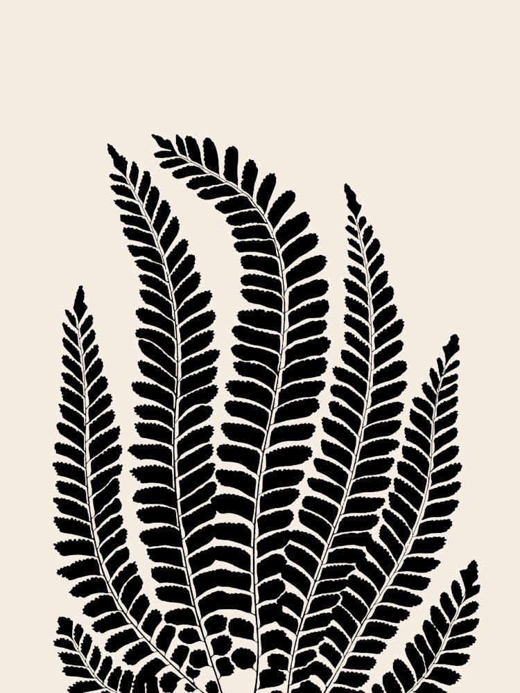 Fern Leaves in Black, Farmhouse Botanical 4