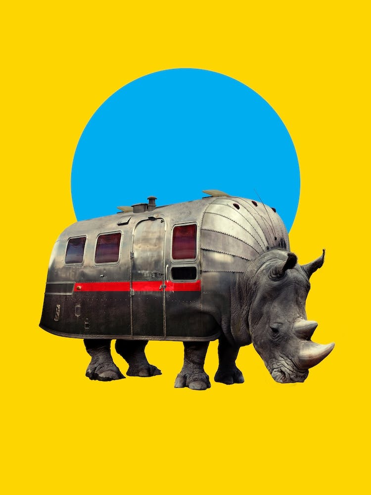 Rhino