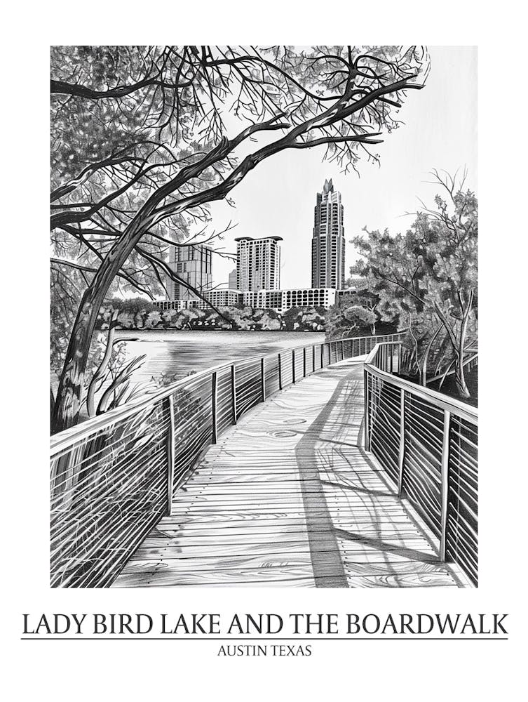 Lady Bird Lake And The Boardwalk Austin Texas Black And White Drawing 3 Poster