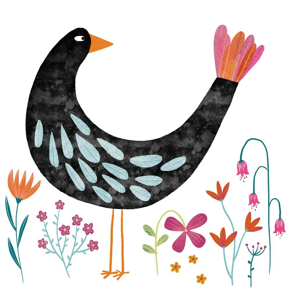 Bird With Fancy Tail