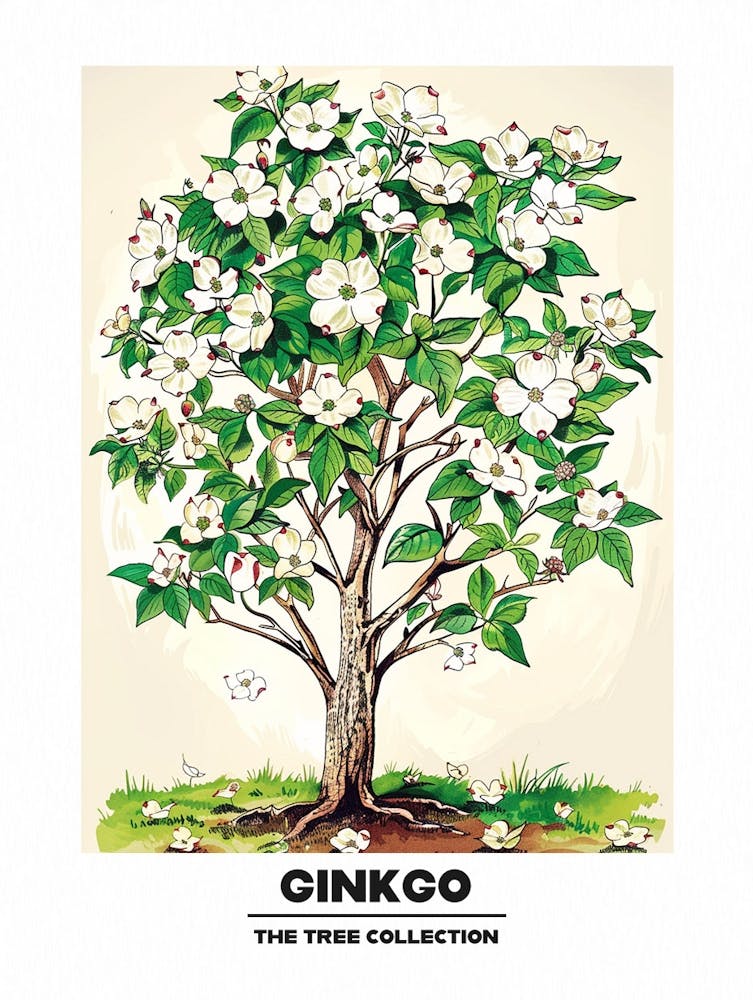 Ginkgobaum Märchenbuch Illustration 1 Poster