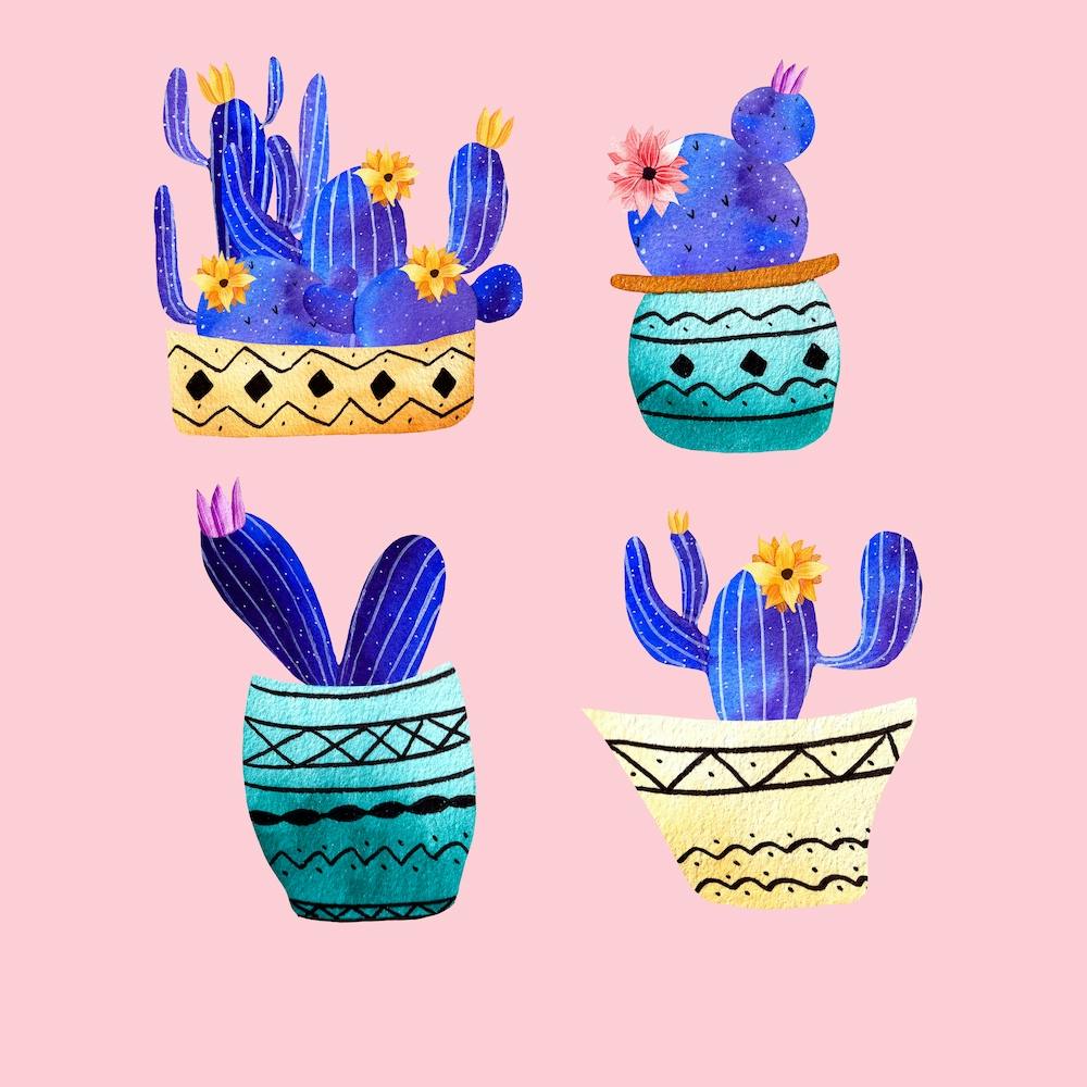 4 Cute Cactus Square