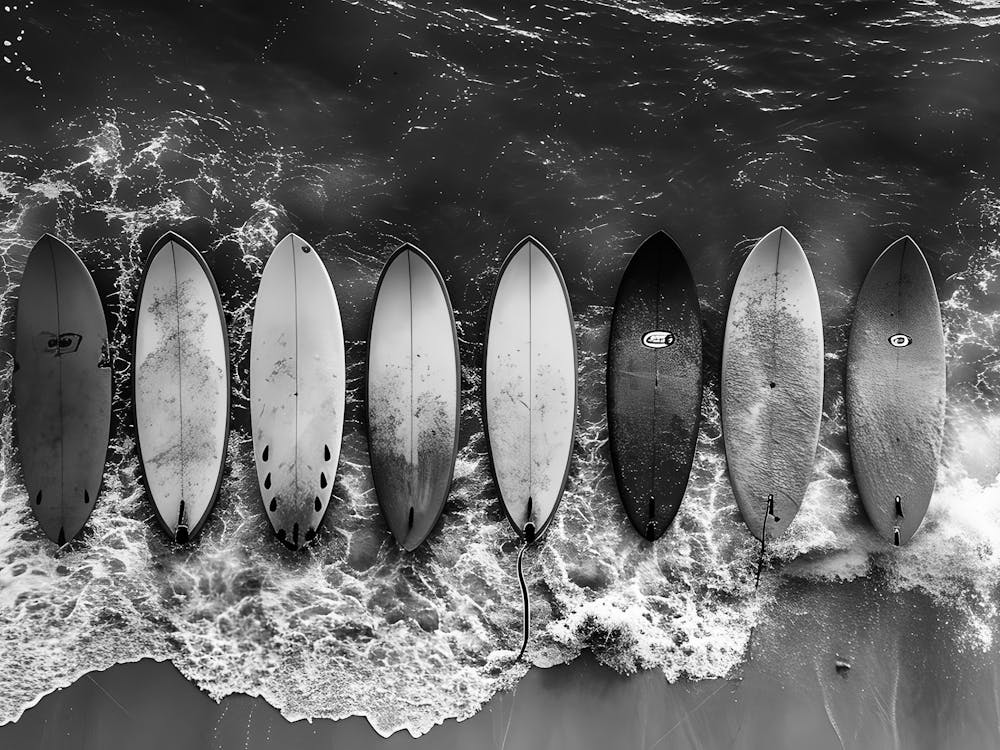 Black And White Surfboards 1