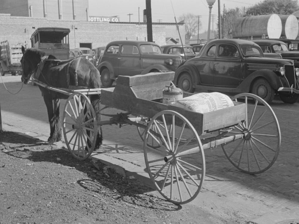 Federwagen und Pferd mit Grundgütern der Bauern Kohle, Öl und Mehl, Laurel, Mississippi von Russell Lee