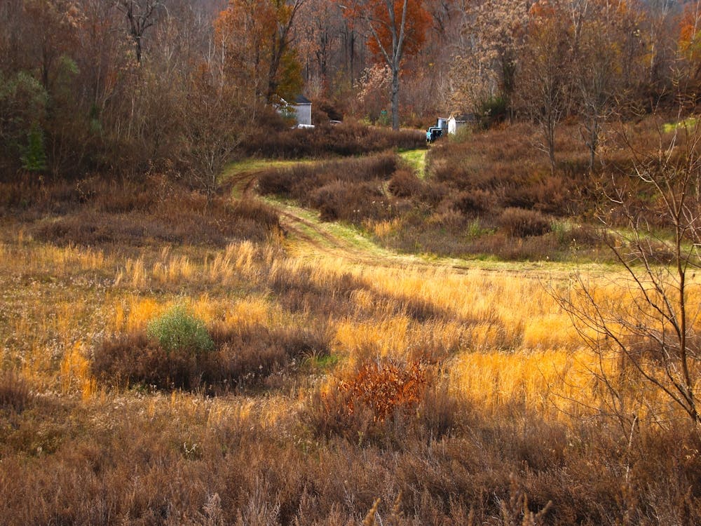 Autumn Scene 4