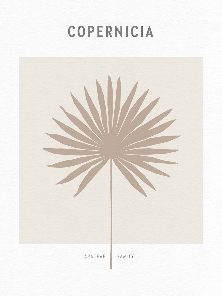 Boho Leaves 1 Copernicia