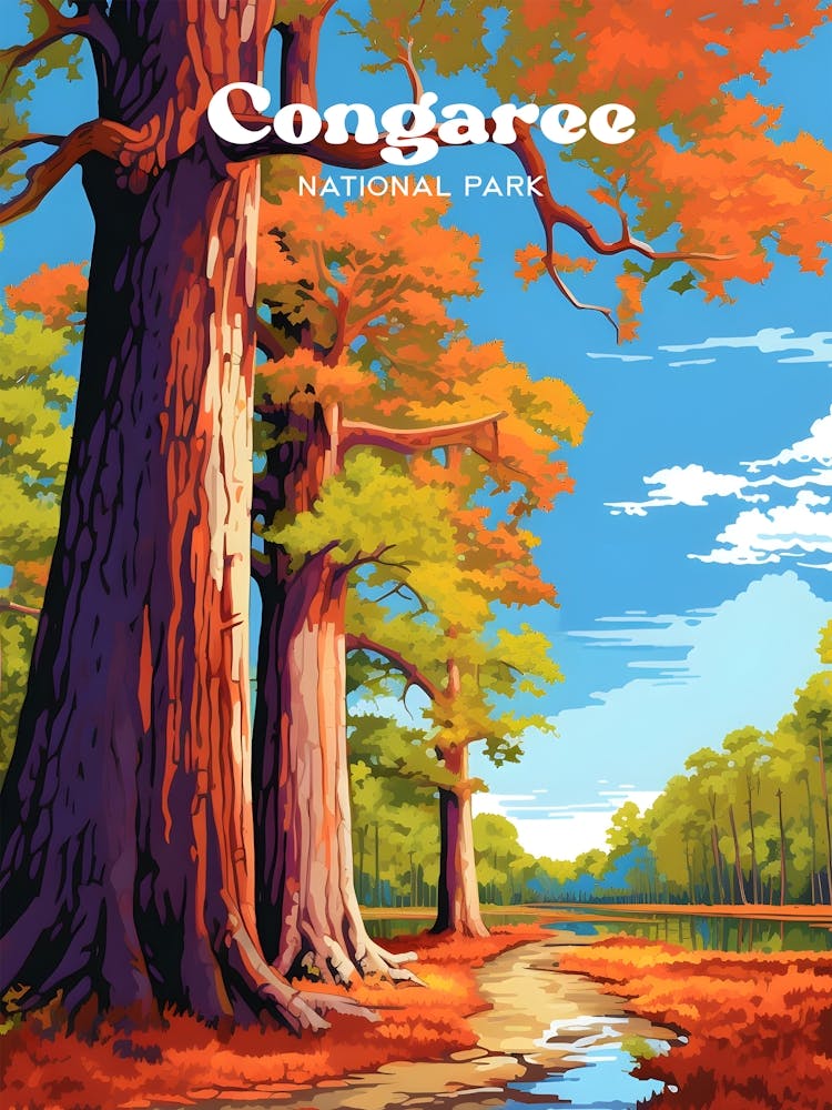 Congaree National Park Hiking Modern Travel Art