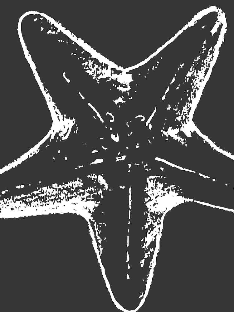 Starfish 4