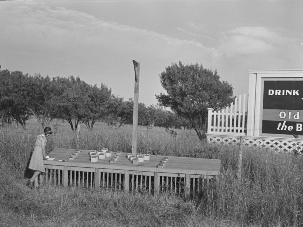 Strawberry Roadside Stand, Near Madison, Wisconsin By Russell Lee